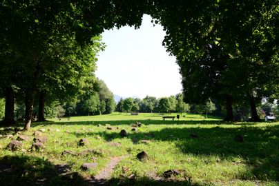Ein schöner Park mit viel Grün und Bäumen. In der Mitte sieht man eine Wiese mit Bänken.