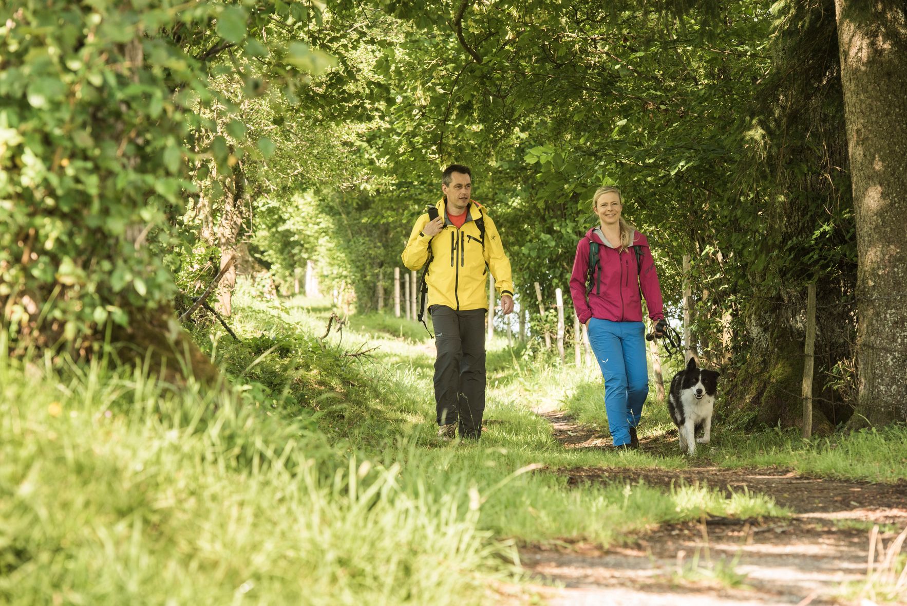 Ein Paar wandert mit ihrem Hund durch einen Wald.