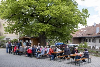Eine Gruppe von Menschen sitzt an Holztischen unter einem großen Baum. Im Hintergrund sind einige Gebäude und Fahrzeuge zu sehen.