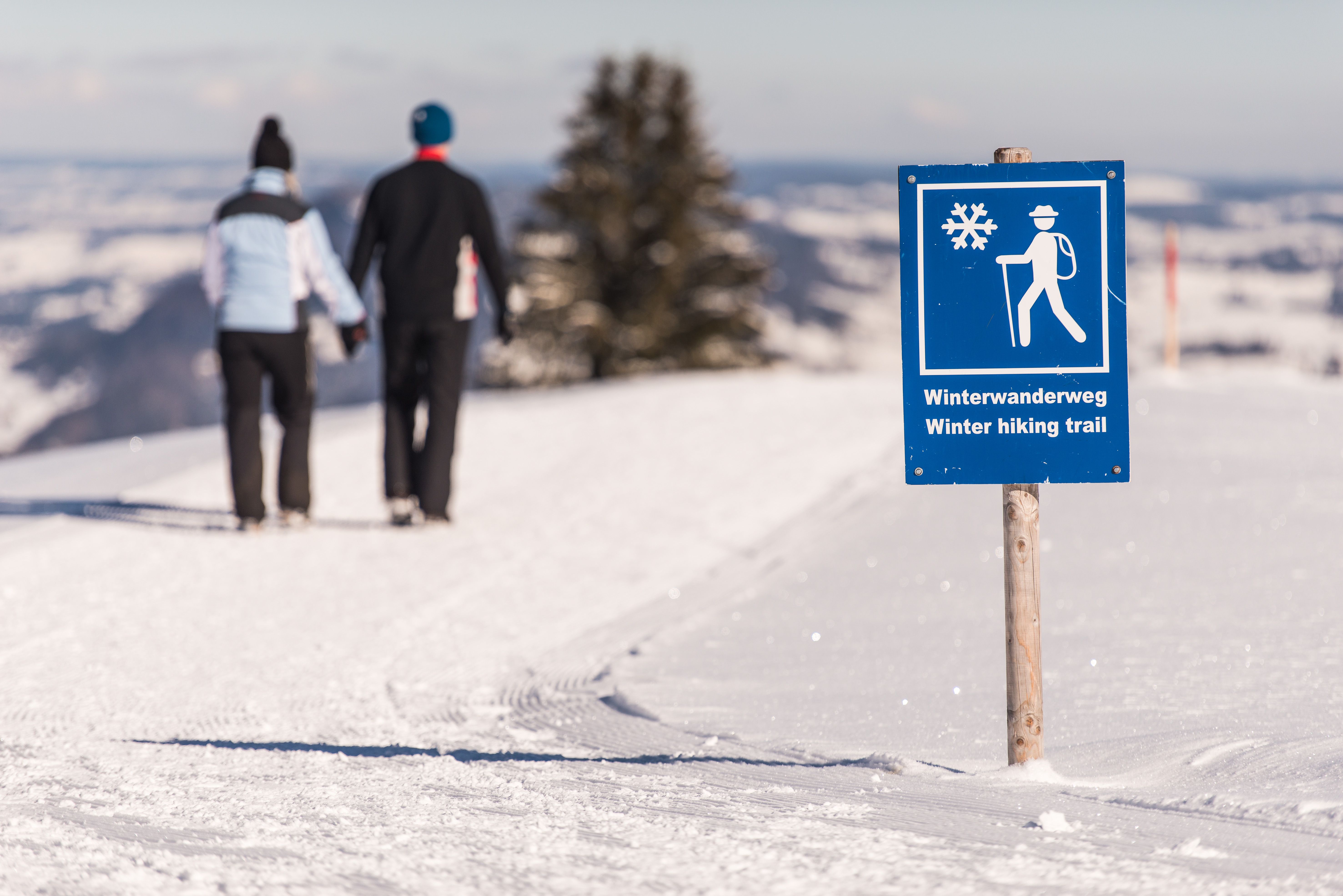 Ein blaues Schild Kennzeichnet den Winterwanderweg, im Hintergrund läuft ein paar. Das Ofterschwanger Horn ist 1.406 Meter hoch und liegt südlich von Gunzesried (Blaichach).