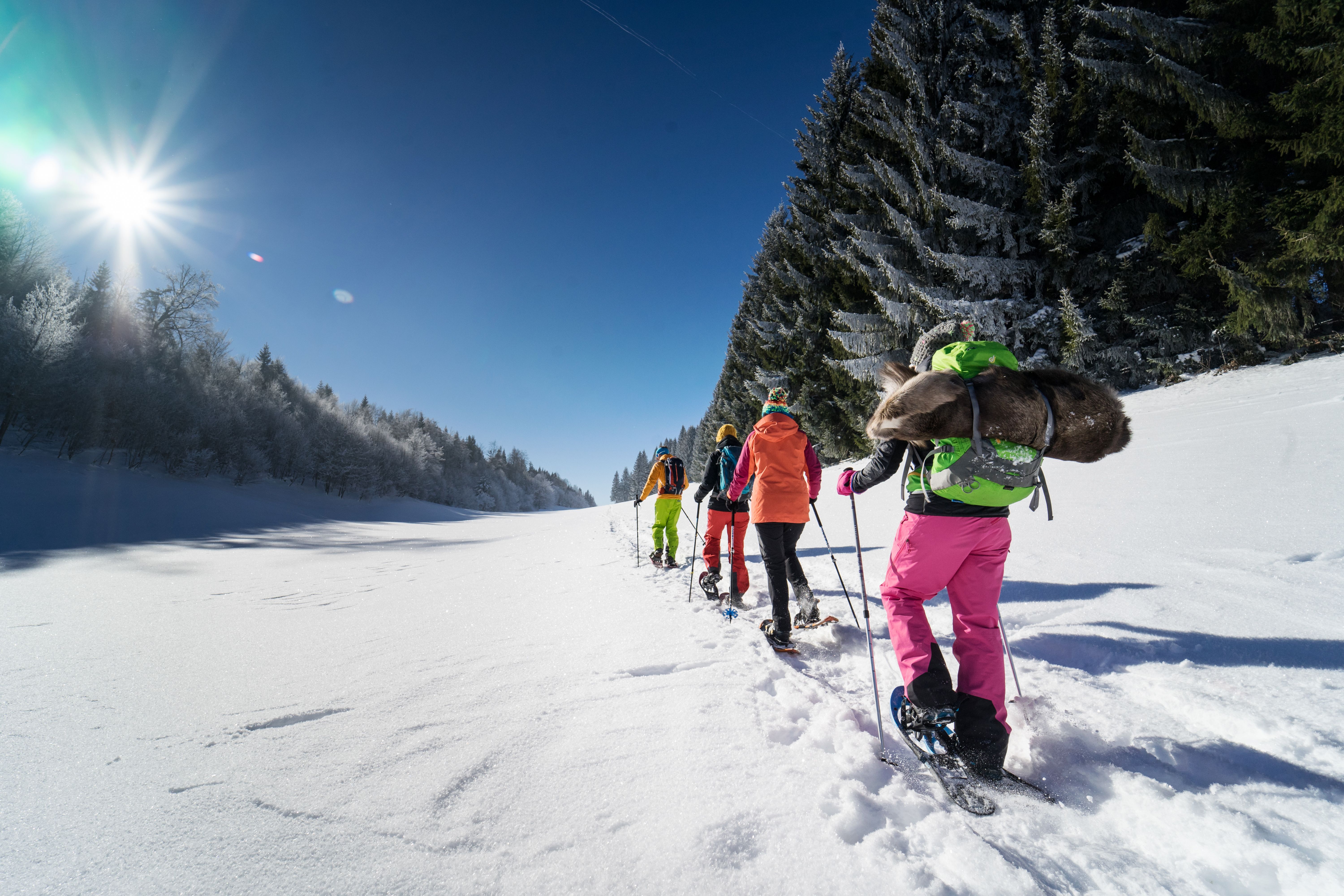 Eine Gruppe von vier Personen wandert mit Schneeschuhen auf einer schneebedeckten Ebene am Waldrand. Der Rottachberg in Rettenberg ist auch im Winter ein beliebtes Wanderziel. Die Wanderwege sind einfach zu begehen und die Aussicht vom Gipfelkreuz des Falkensteins ist einzigartig schön.