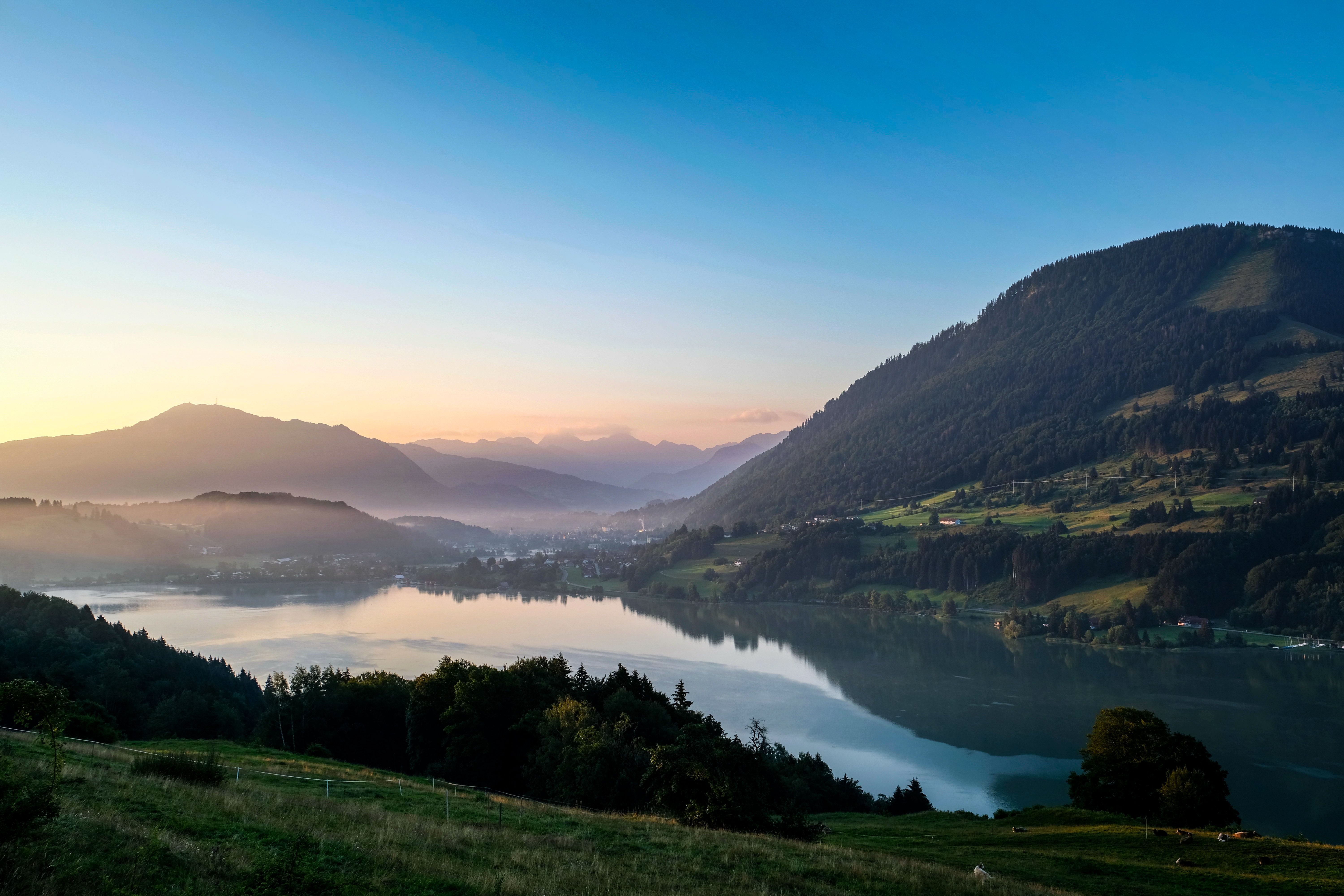 Die Alpe Schönesreuth liegt auf 840 Metern Höhe direkt über dem Großen Alpsee. Von hier hat man einen atemberaubenden Blick auf den Alpsee, die Stadt Immenstadt, den Grünten und die Allgäuer Hochalpen.