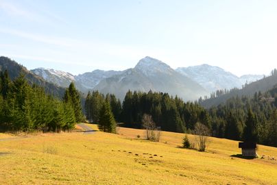 Das Strausbergmoos in Sonthofen an einem schönen Herbsttag.