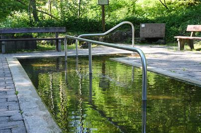 Ein stilles Wasserbecken umgeben von Bäumen, perfekt für Ruhe und Erholung an einem sonnigen Tag.
