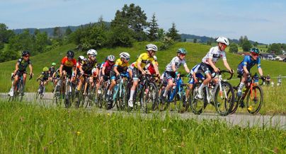 Eine Gruppe von jungen Radfahrern fährt auf einer Straße durch eine grüne Landschaft. Im Hintergrund sind Hügel und Bäume zu sehen.