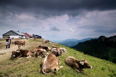 Auf einem traumhaften Aussichts-Plateau unterhalb des Grüntengipfels residiert die Grüntenhütte auf stolzen 1.477 Metern Höhe. Auf der Sonnenterrasse könnt Ihr dann den einzigartigen Panoramablick in die Allgäuer Alpen bis nach Österreich genießen.