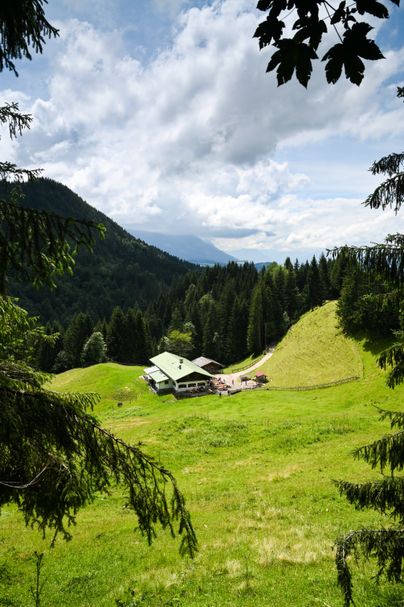 Vom Wanderweg herab führt der Blick auf die Sennalpe Topfen oberhalb von Burgberg. Als Anlaufstelle nach der Begehung der Starzlachklamm in Sonthofen ist die Alpe Topfen eine beliebte Anlaufstelle für Wanderer.