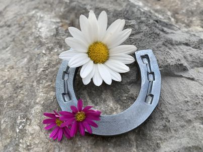 Ein Hufeisen aus Metall liegt auf einem grauen Stein. Darauf sind eine weiße Margerite und zwei pinke Blumen platziert.