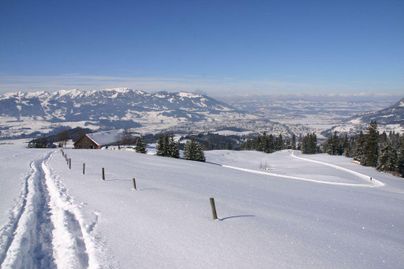 Eine verschneite Landschaft mit sanften Hügeln und einem klaren blauen Himmel. Im Vordergrund sind Pfade und einige Nadelbäume zu sehen.