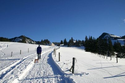 Eine verschneite Landschaft mit einem Wanderer und einem Hund. Die Sonne scheint über die Berge und Bäume.