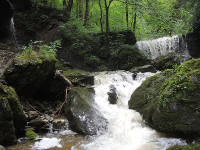 Ein rauschender Wasserfall fließt über große Felsen in einem grünen Wald. Umgeben von üppiger Vegetation strahlt die Szenerie Ruhe und Naturverbundenheit aus.