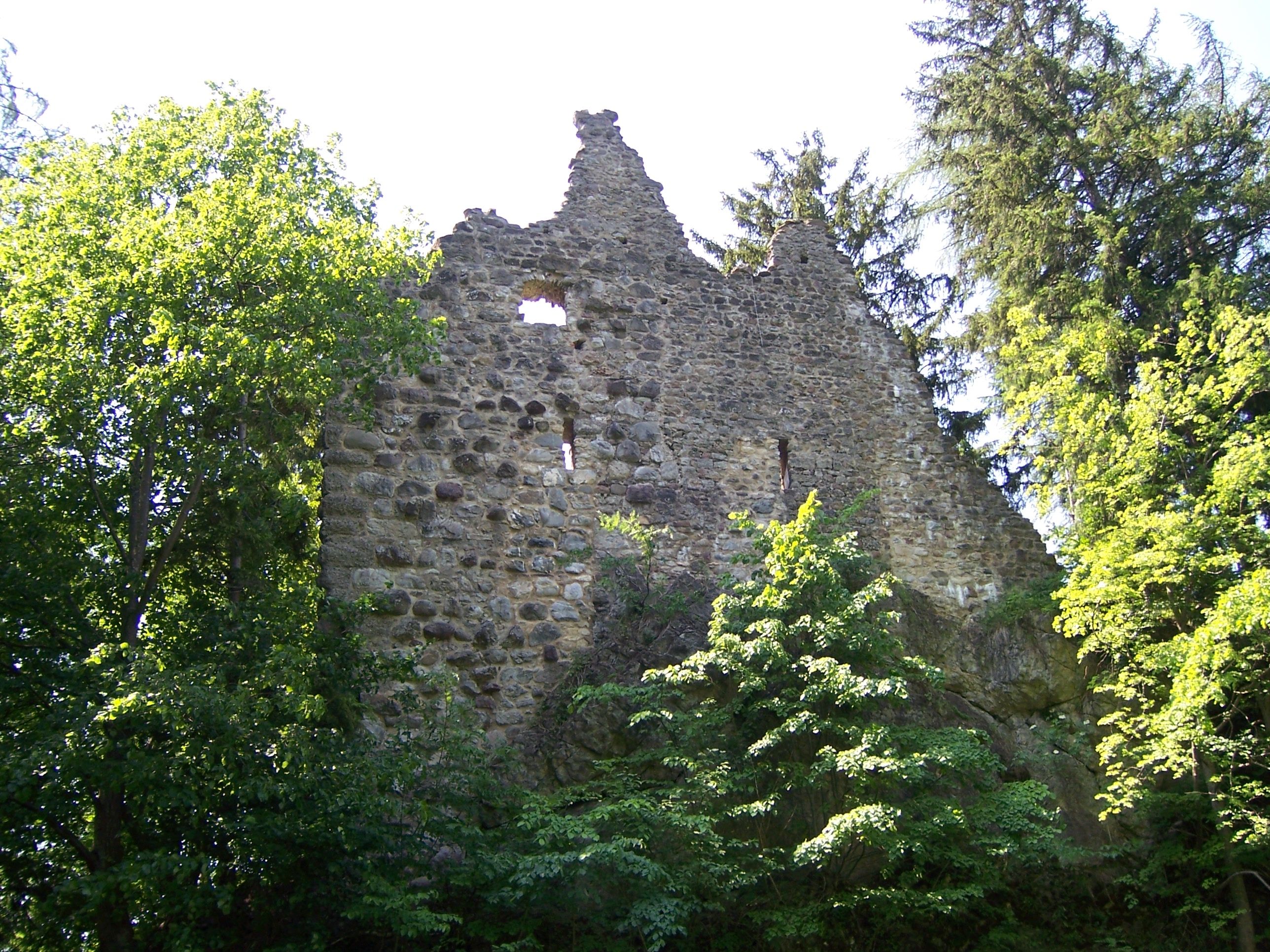 Blick auf die Burgruine in Burgberg