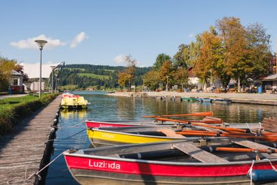Eine malerische Uferpromenade mit bunten Booten am Wasser. Im Hintergrund sind Bäume und Gebäude zu sehen, die für eine ruhige Atmosphäre sorgen.