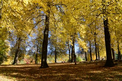 Herbststimmung auf dem Kalvarienberg