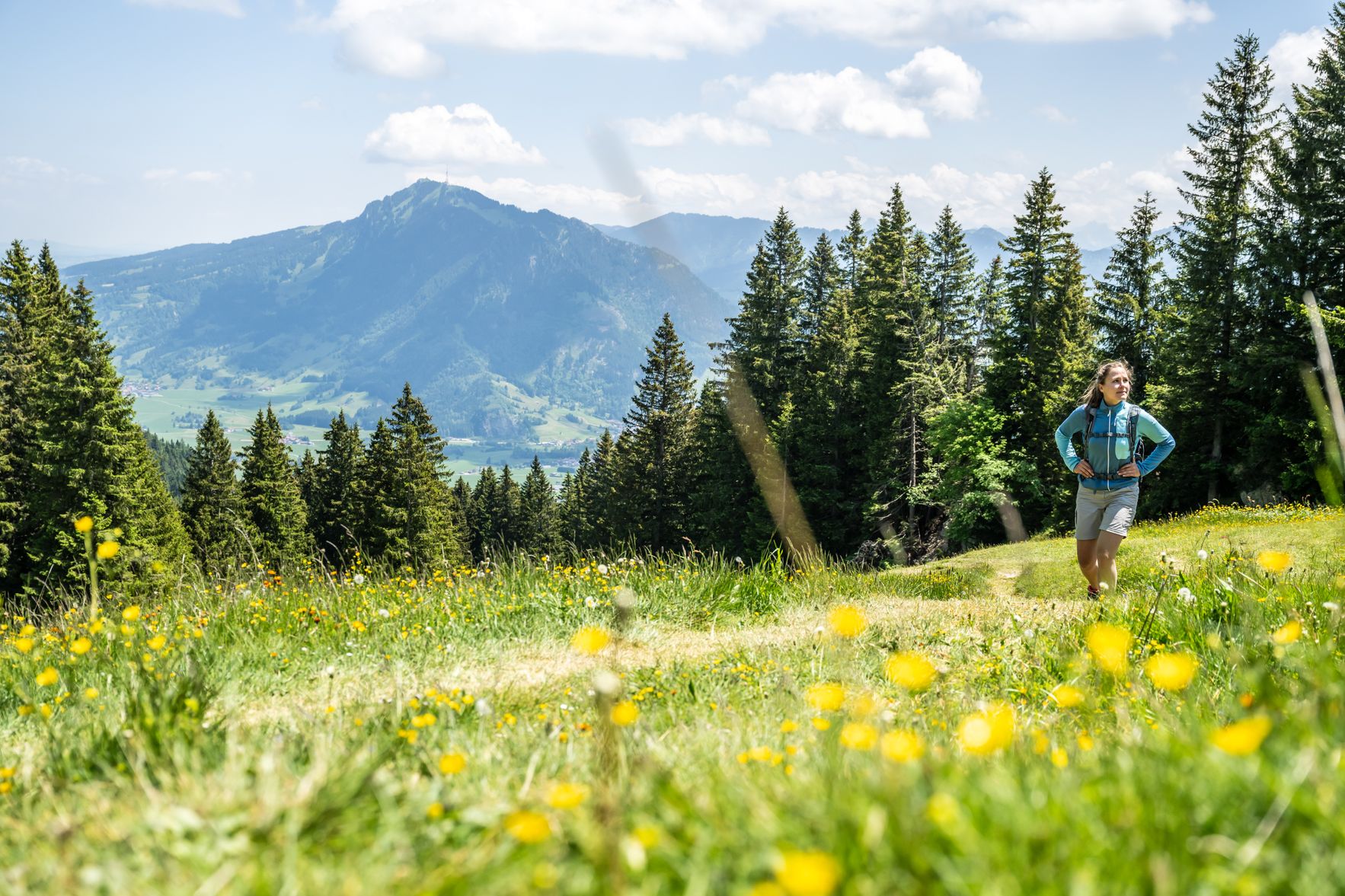 Eine Frau wandert im Sommer über eine blühende Wiese in Richtung des Bärenköpfles im Naturpark Nagelfluhkette. Im Hintergrund ist der Grünten zu sehen.