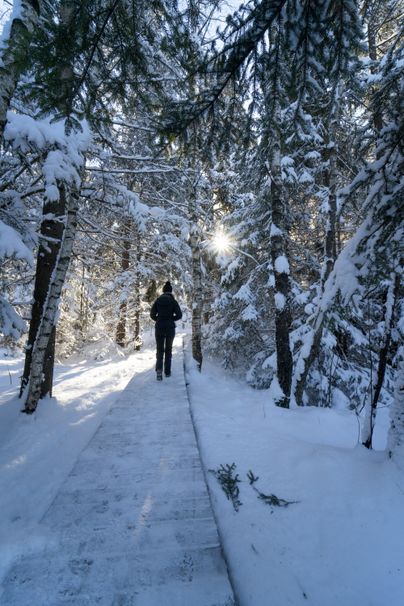 Eine Frau wandert über den schneebedeckten Holzsteg im Agathazeller Moos. Das in der Gemeinde Burgberg liegende Moos lockt Naturliebhaber und Wanderer im Winter gleichermaßen.