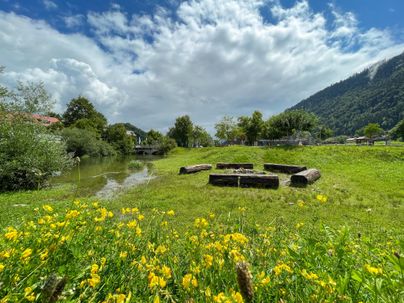 Eine grüne Wiese mit gelben Blumen und einem ruhigen Gewässer. Im Hintergrund sind Bäume und Hügel zu sehen.