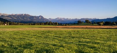 Eine weitläufige Wiese mit frischem Grün und majestätischen Bergen im Hintergrund. Der Himmel ist klar und die Landschaft ist friedlich.