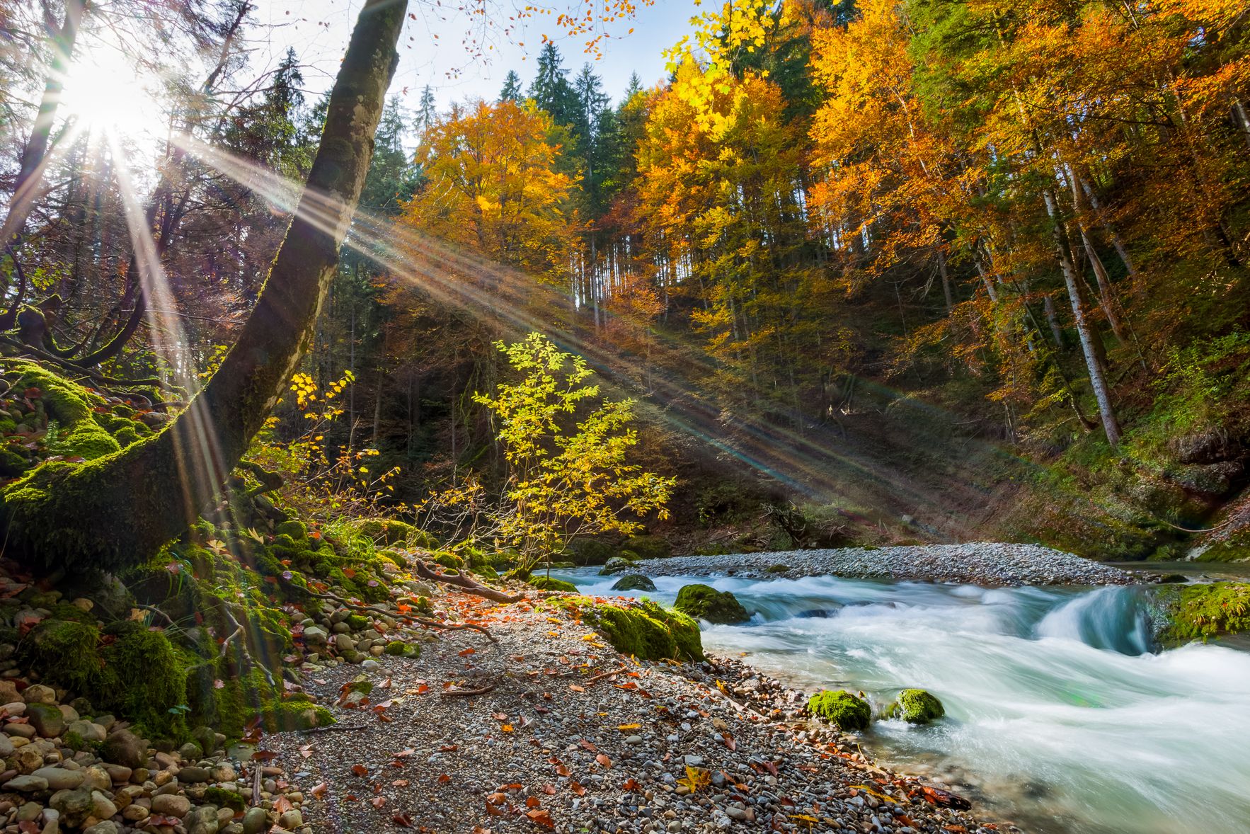 Herbst im Haldertobel